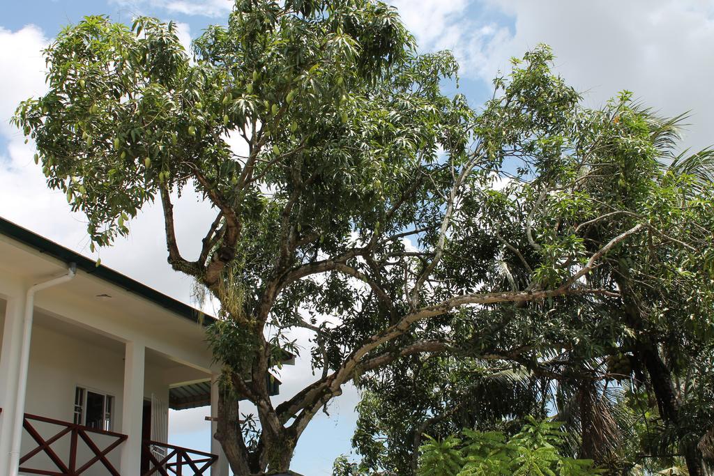 Asteria Studios Paramaribo Esterno foto